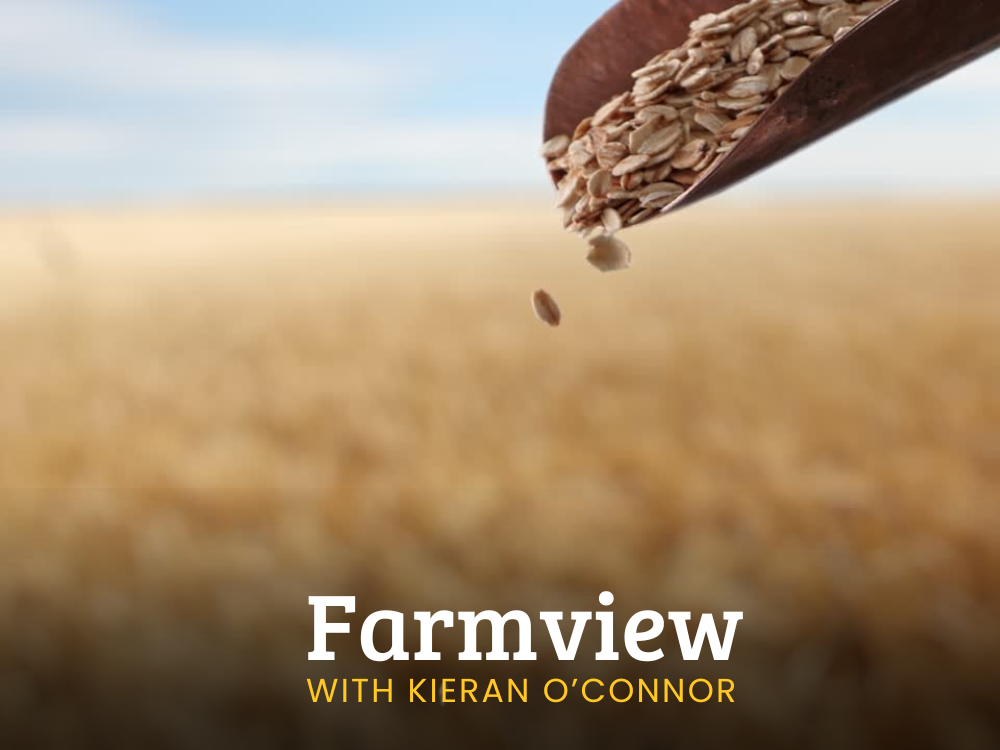 Farmview November 21st 2024