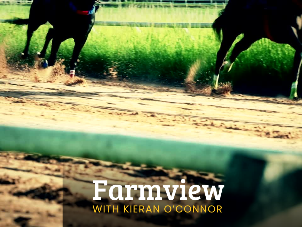 Listen Back: Farmview Aug 15th 2024