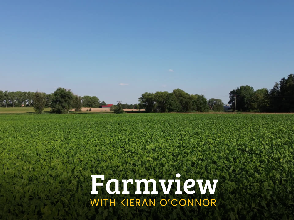 Listen Back: Farmview Oct 10th 2024