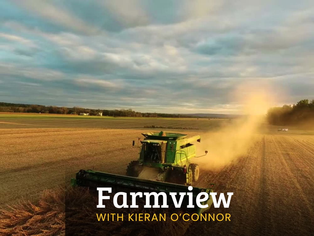 Farmview Sep 5th 2024