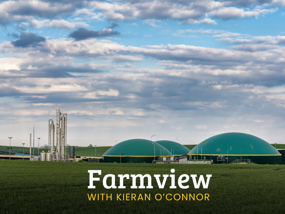 Farmview Oct 17th 2024