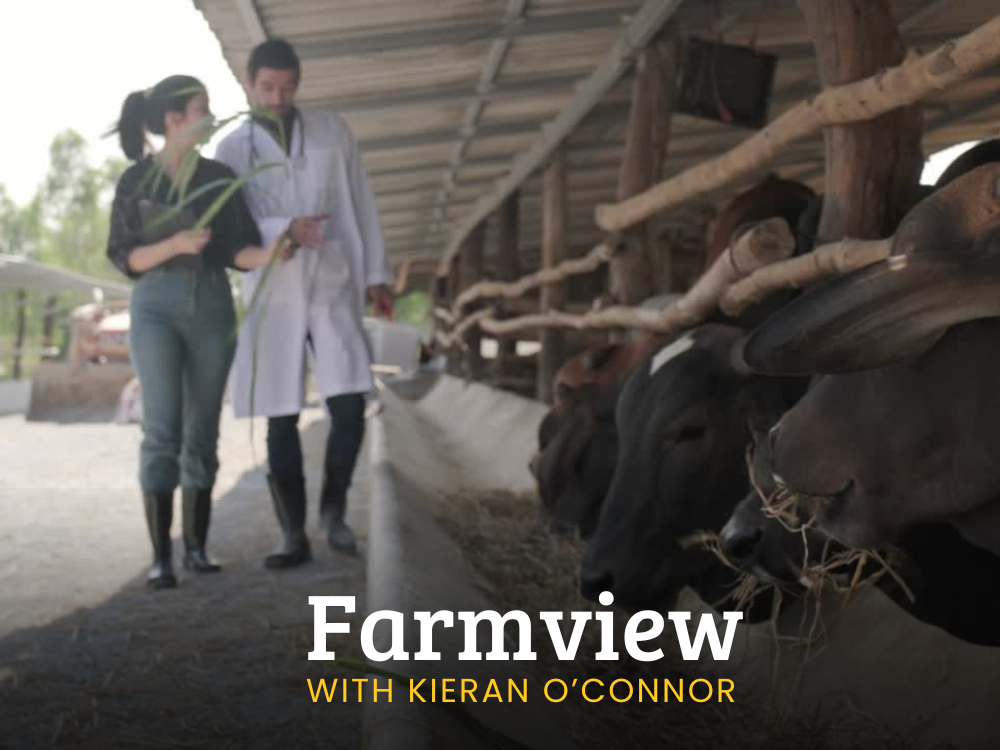 Farmview Sep 19th 2024