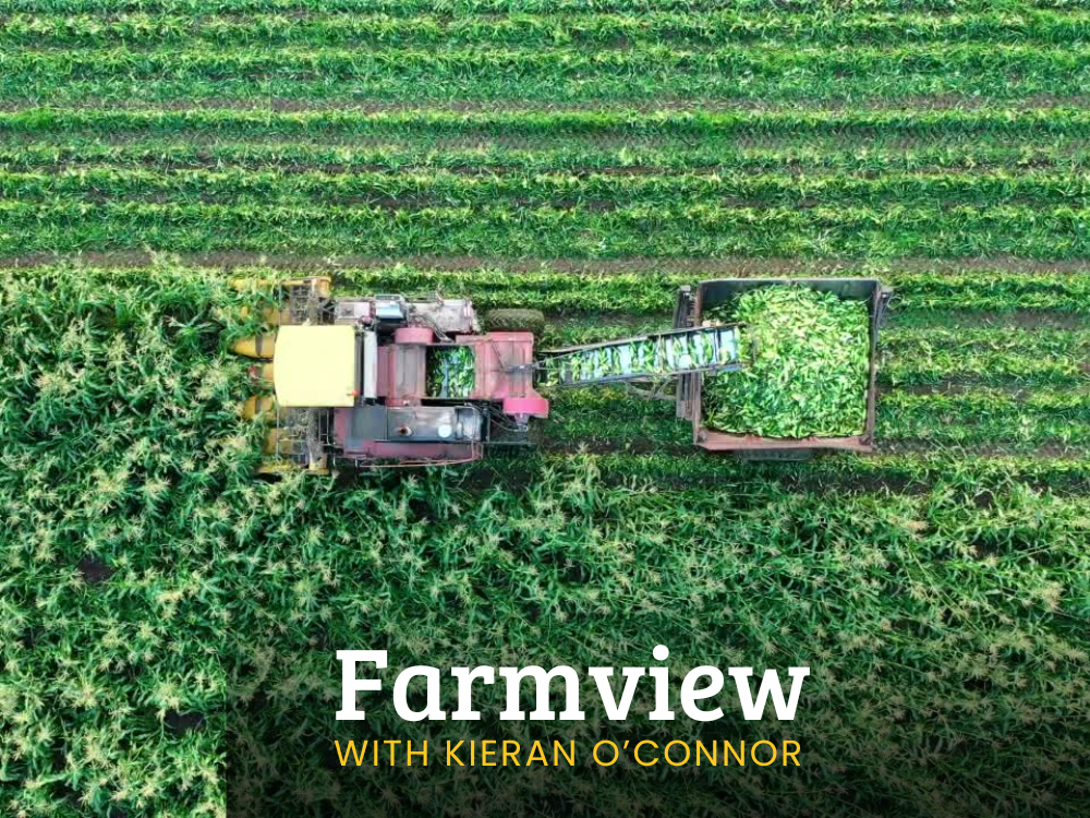 Farmview July 25th 2024