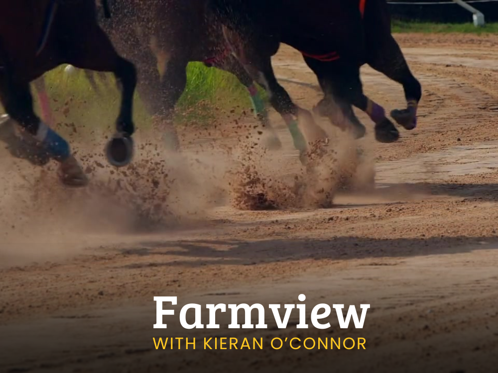 Farmview Dec 19th 2024