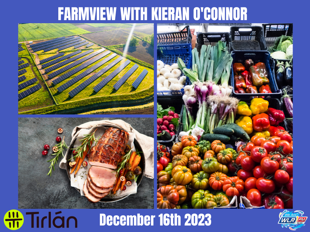 Farmview December 16th 2023