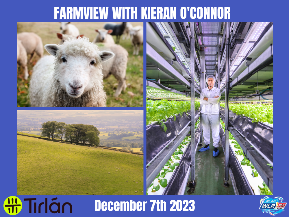 Farmview December 7th 2023