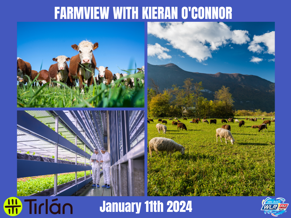 Farmview January 11th 2024