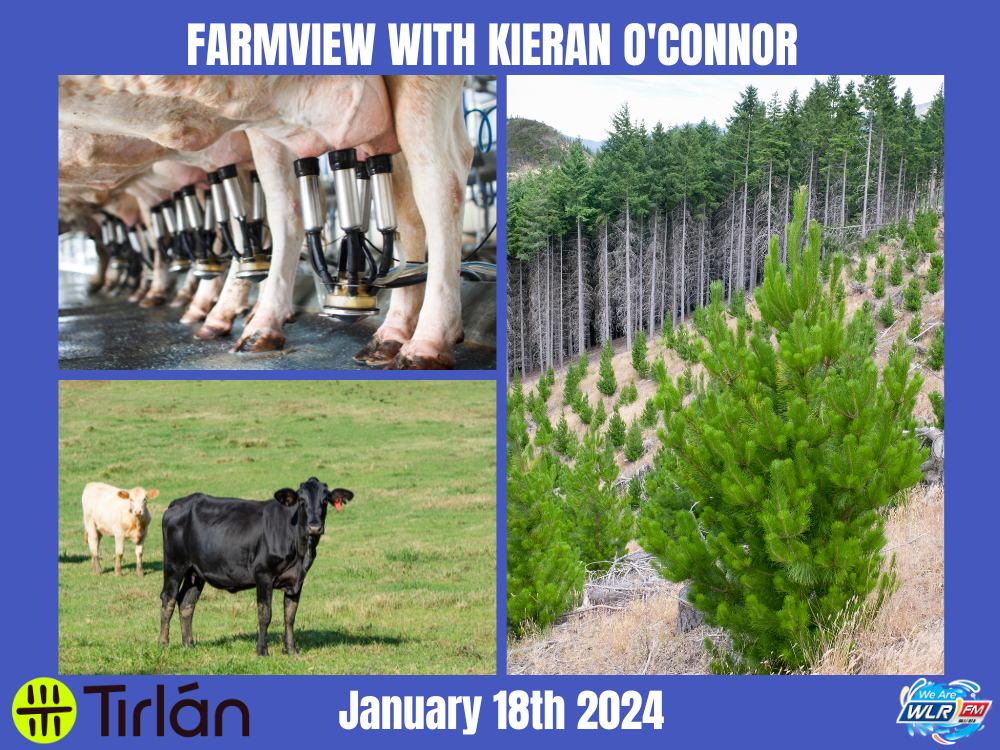 Farmview January 18th 2024