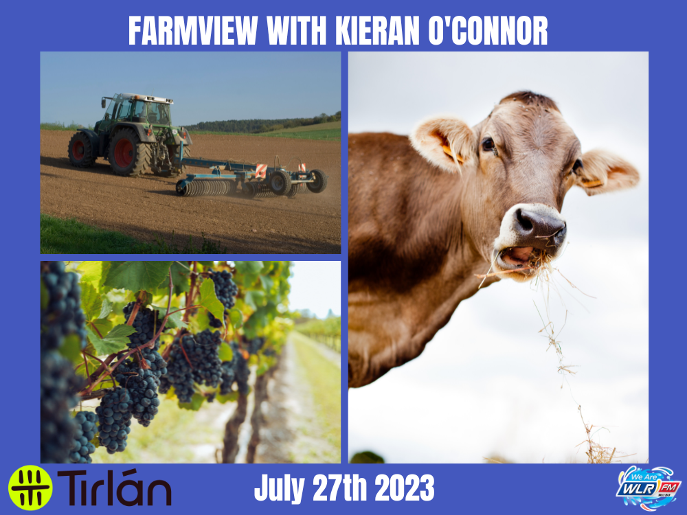 Farmview July 27th 2023