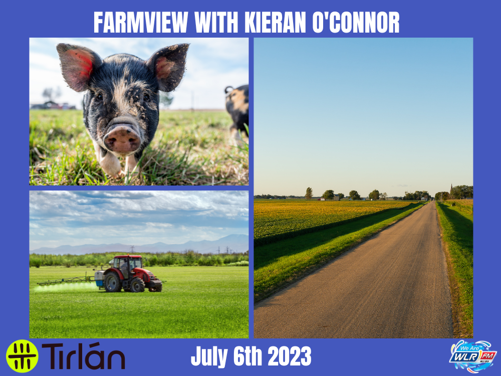 Farmview July 6th 2023