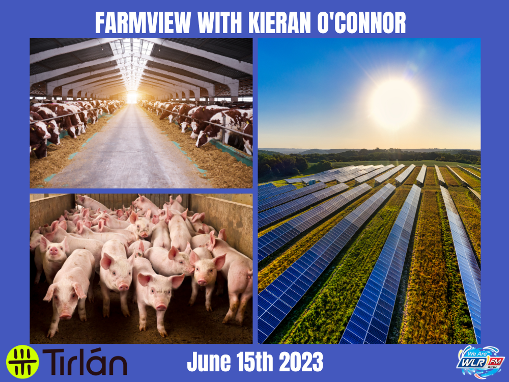 Farmview June 15th 2023