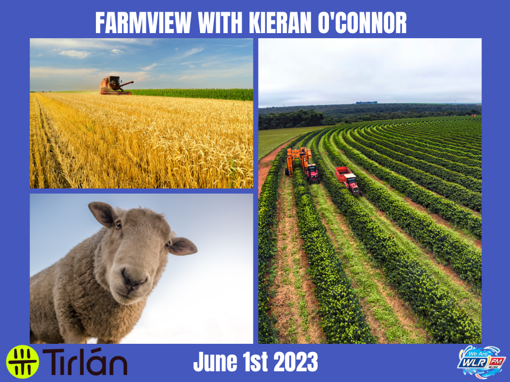 Farmview June 1st 2023