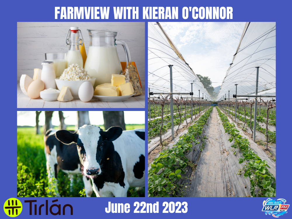 Farmview June 22nd 2023