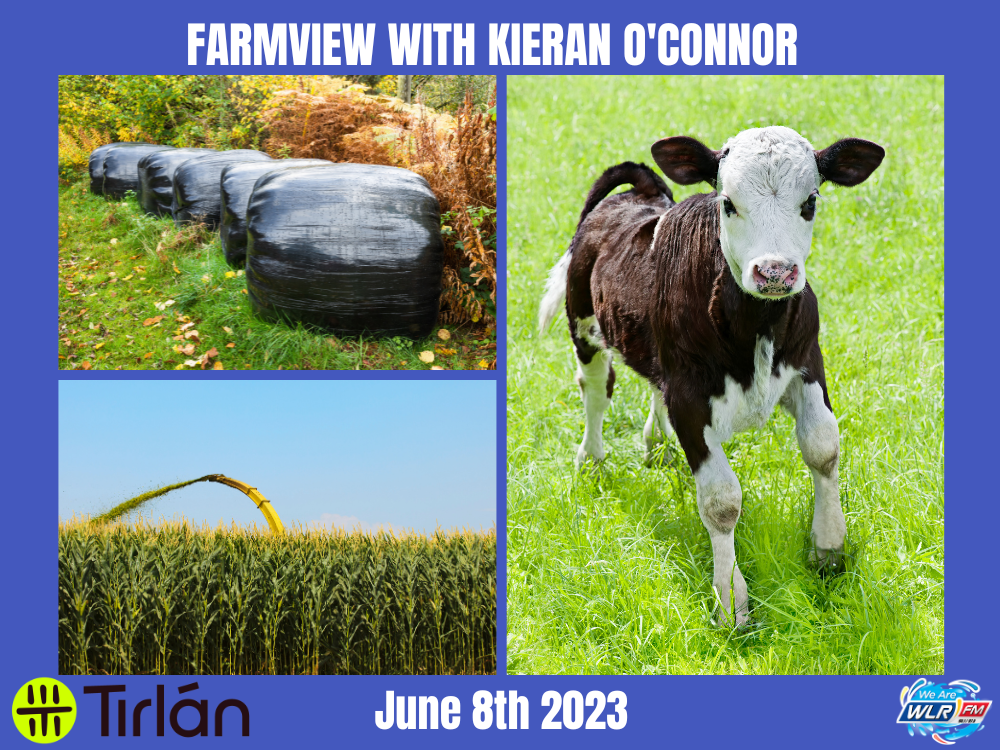 Farmview June 8th 2023