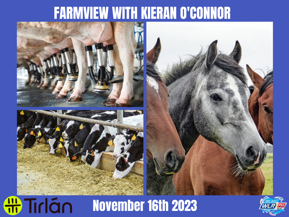 Farmview November 16th 2023