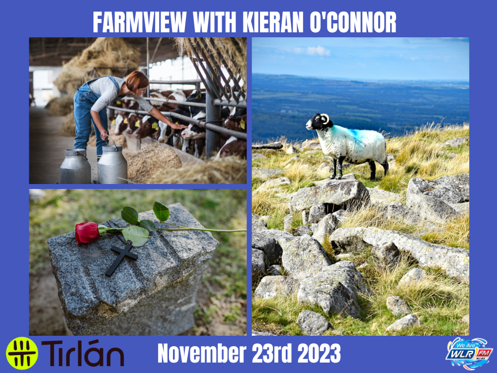 Farmview November 23rd 2023
