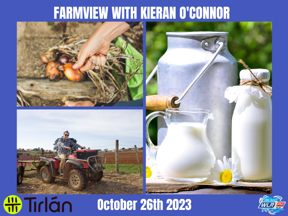 Farmview November 2nd 2023