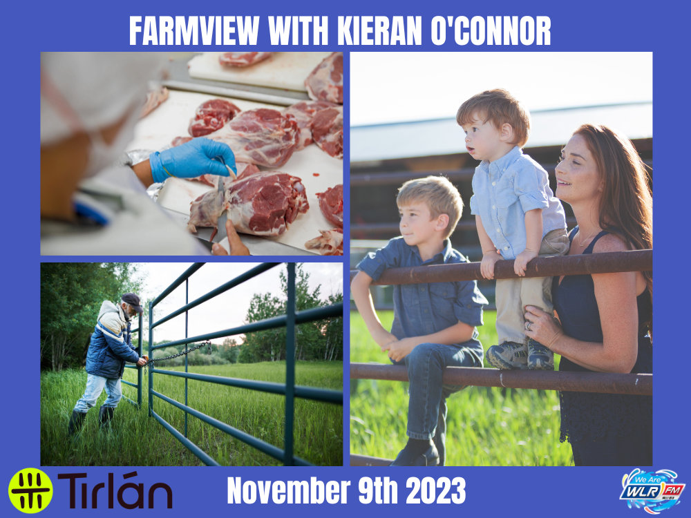 Farmview November 9th 2023