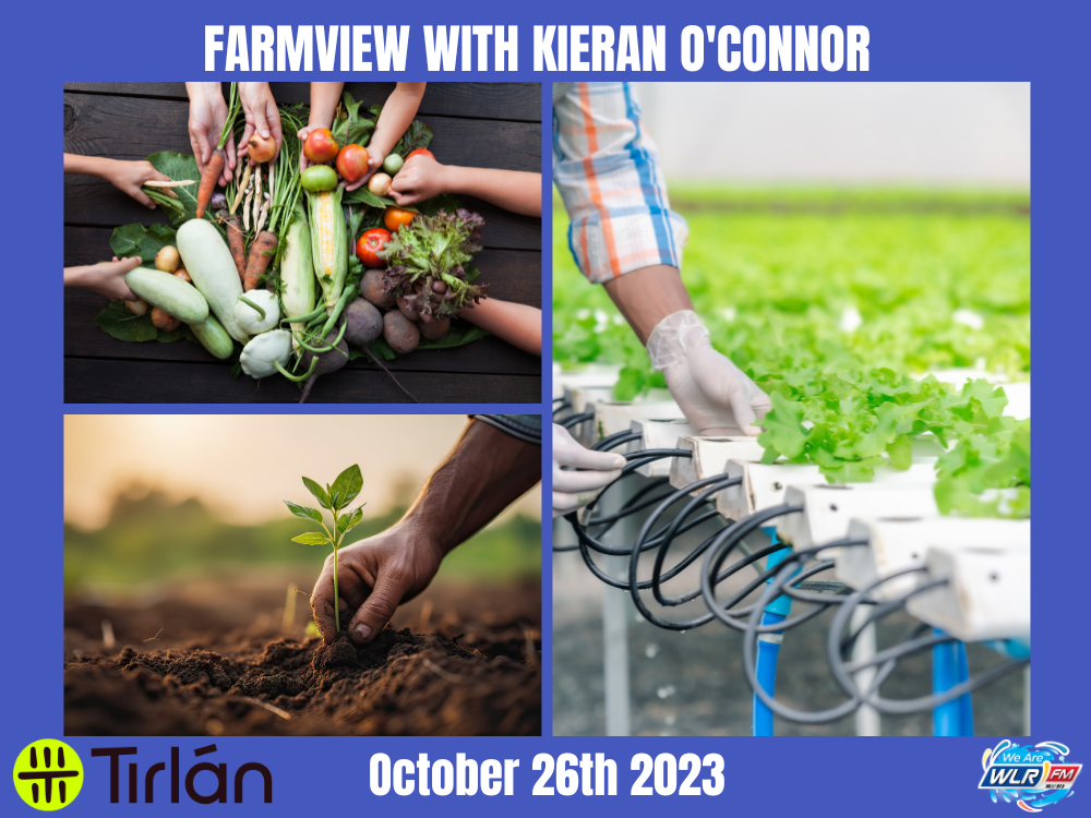 Farmview October 26th 2023