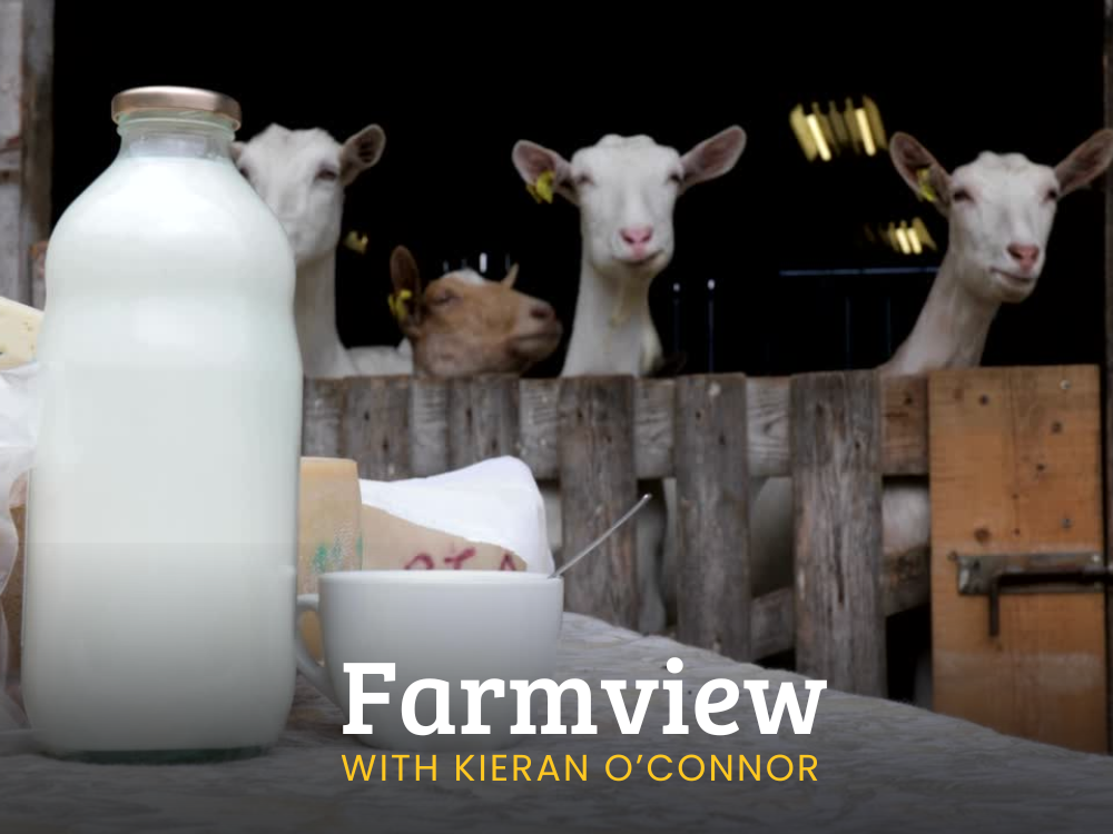 Listen Back Farmview Nov 14th 2024