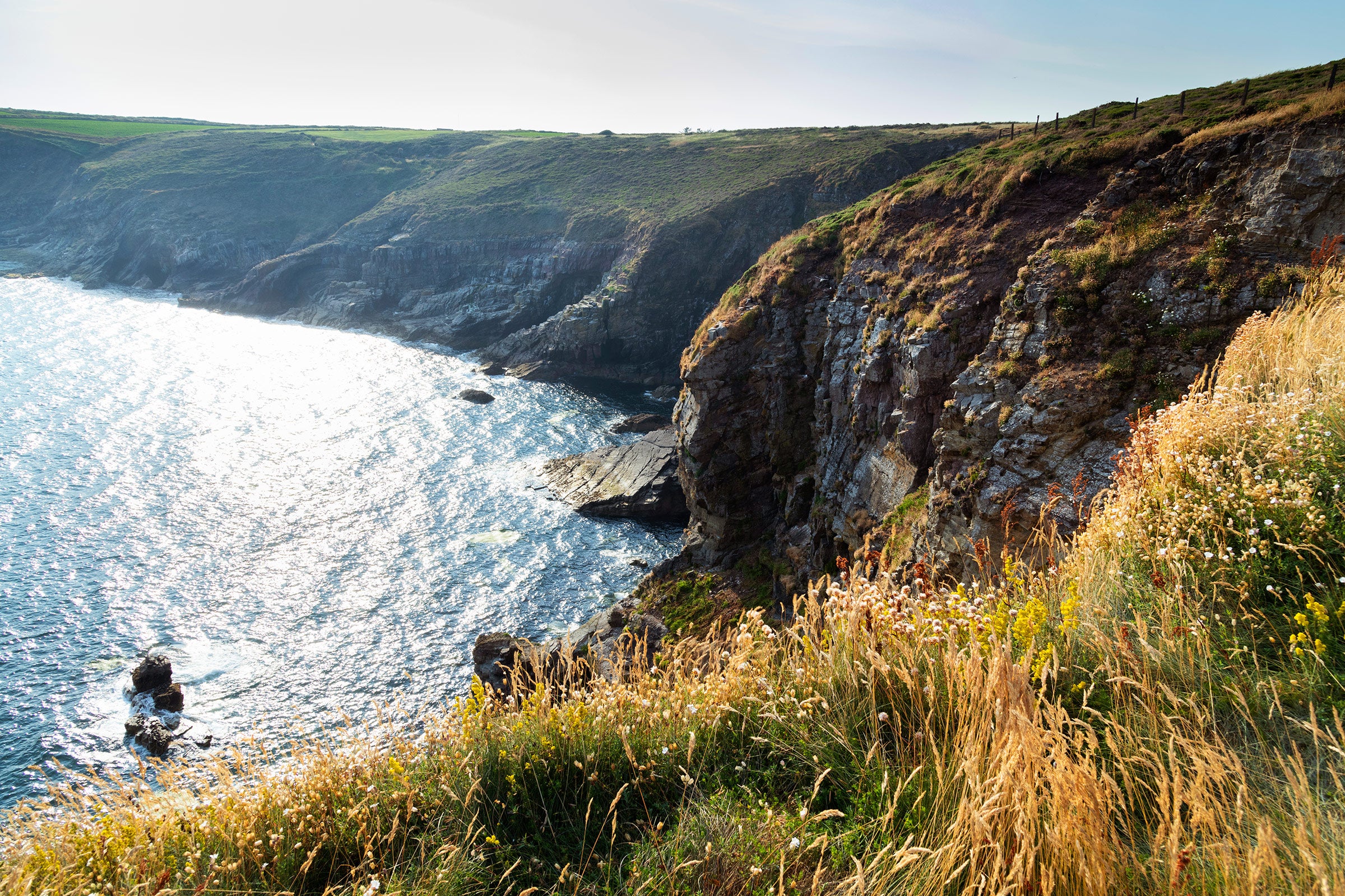 ardmore cliff walk