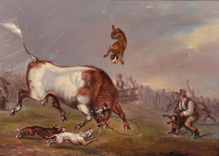 Ballybricken Bull baiting