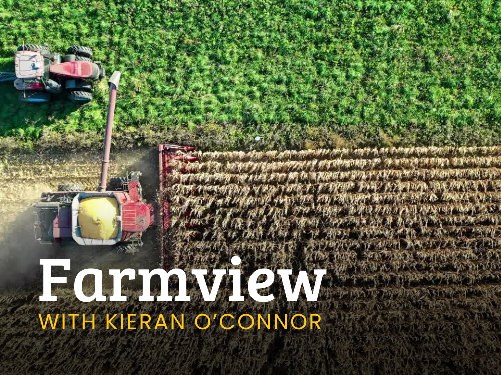 Farmview May 23rd 2024
