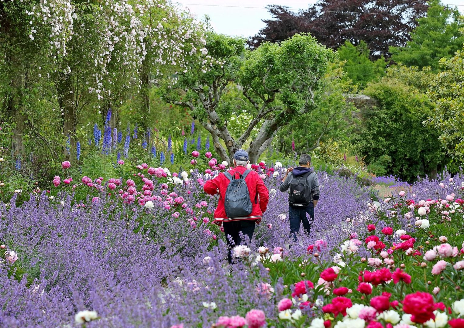 Mount Congreve on RTE