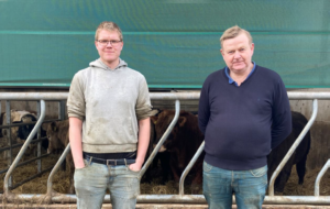 McCarthy beef farm 2024