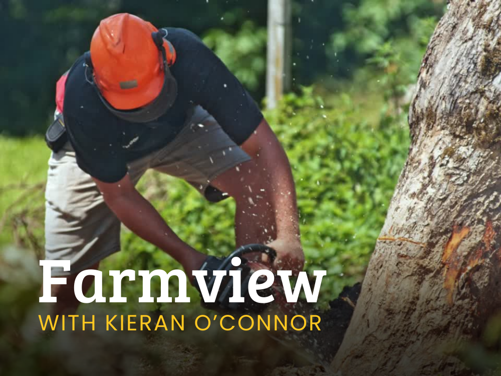 Farmview June 6th 2024