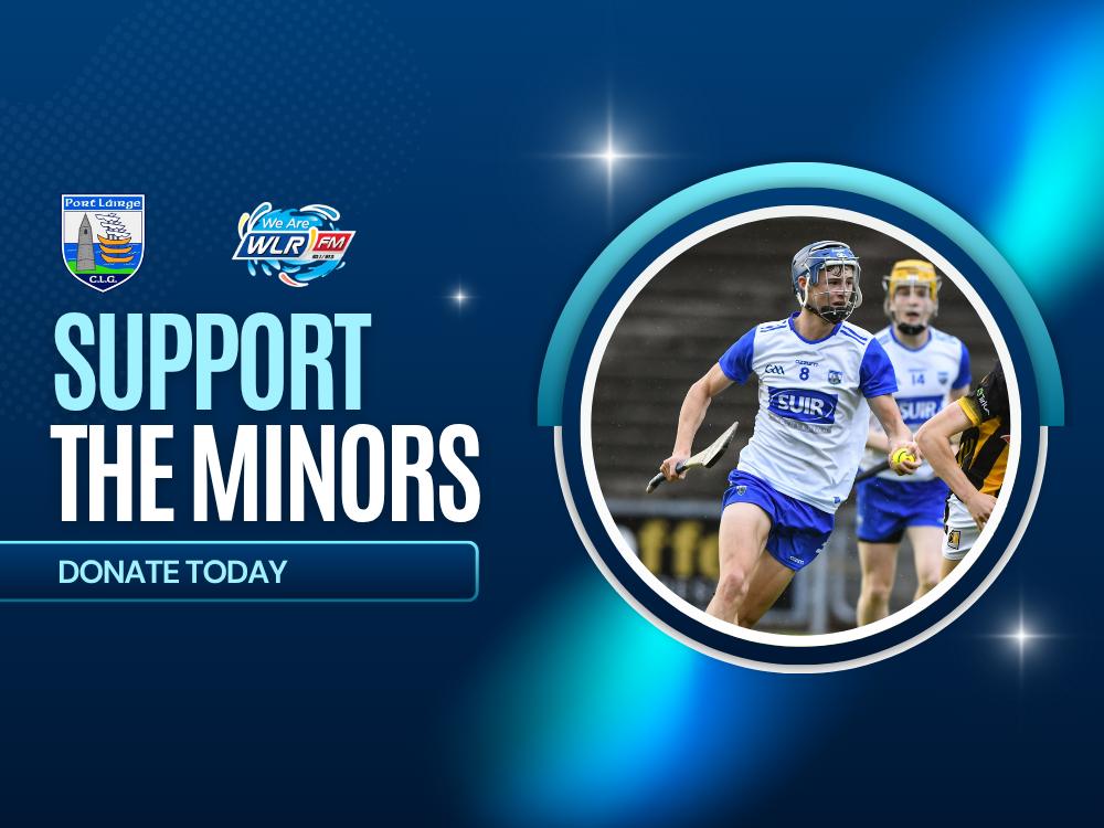 Minor Hurling Appeal