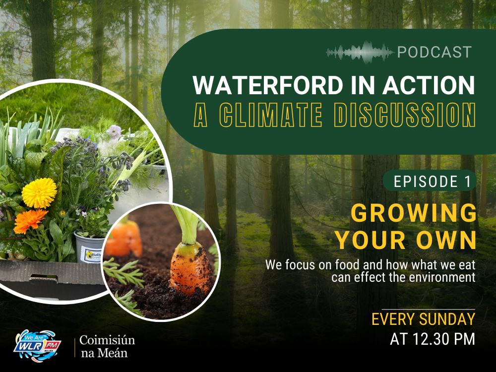 Waterford in Action - A Climate Discussion