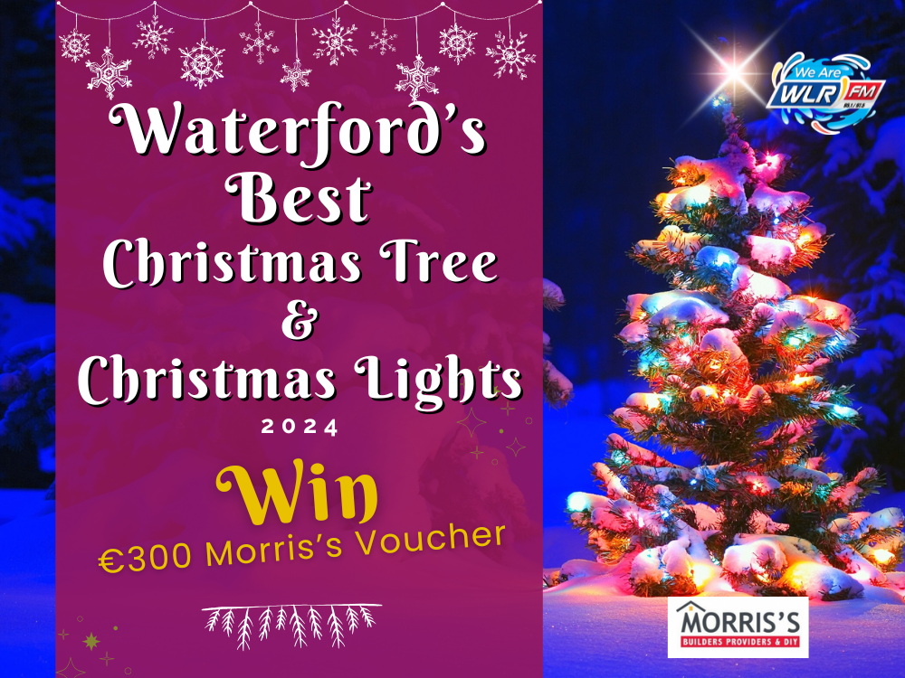 Waterford's Best Christmas Tree & Best Christmas Lights with Morris's (1)