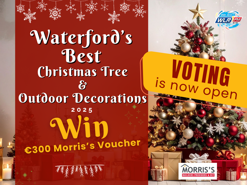 Waterford's Best Christmas Tree & Best Christmas Lights with Morris's