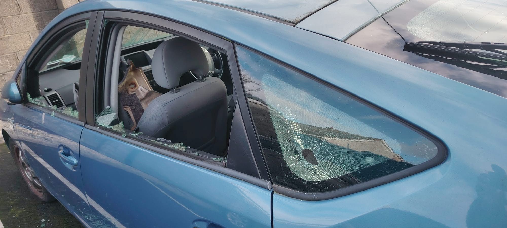 Damage caused to the vehicle