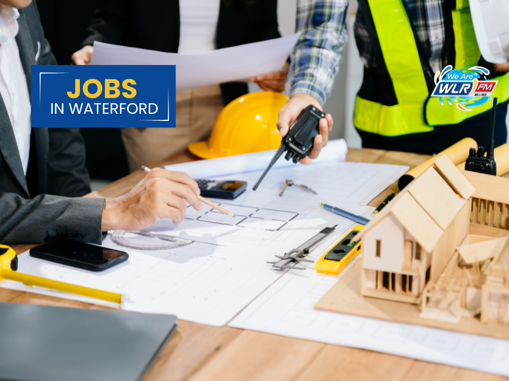 Senior Executive Architect