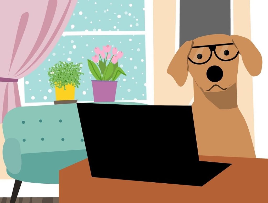 dogs trust hallowe'en