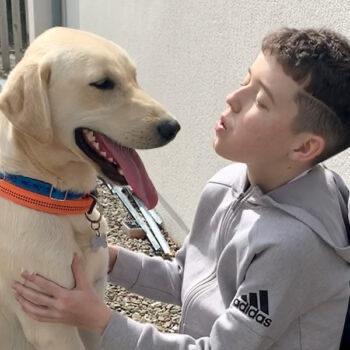 Cian's Kennels Crumlin