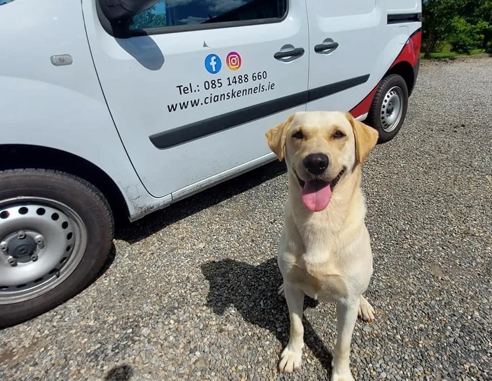 Cian's Kennels Crumlin