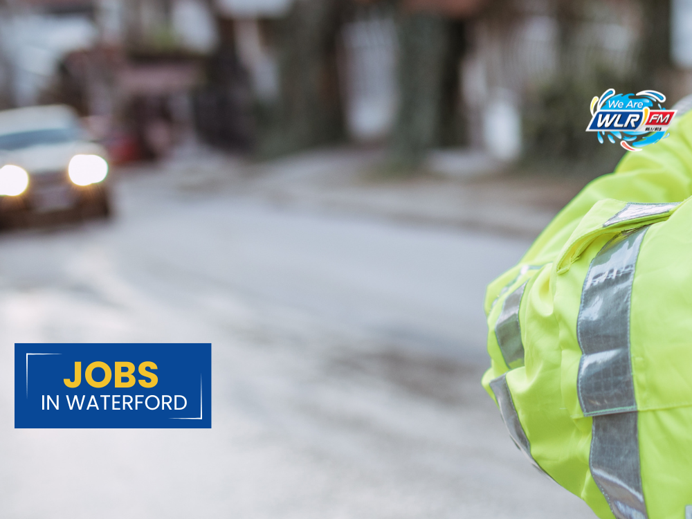 Safety Wardens & Project Officer