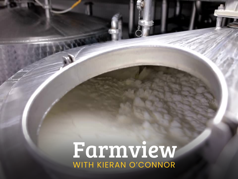 Farmview November 28th 2024
