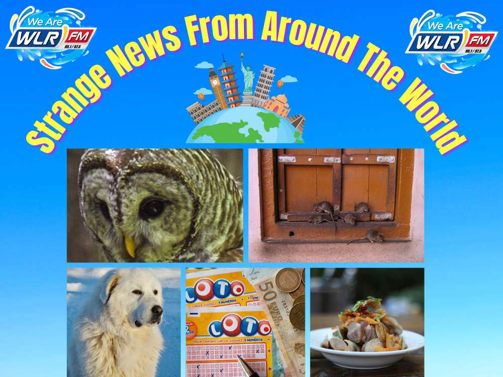 Around the world news.