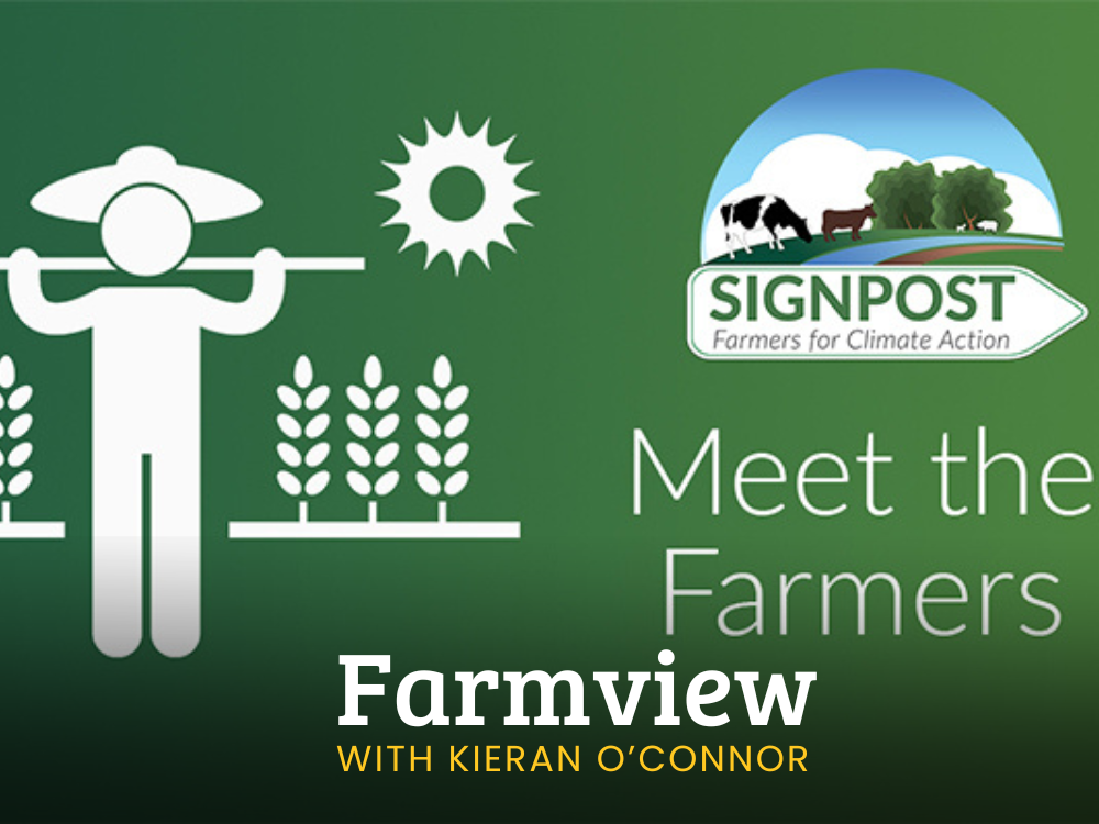 farmview oct 31st 2024