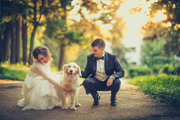 dog friendly wedding