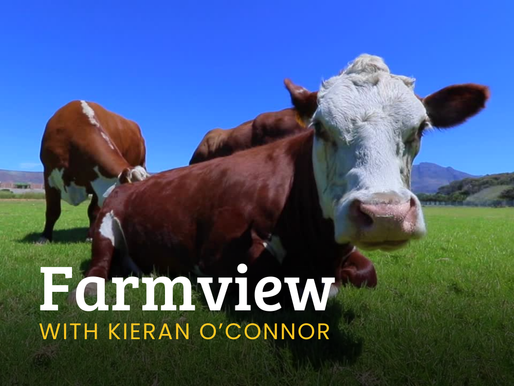 Farmview June 27th 2024