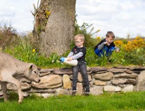 West Waterford Festival of Food
