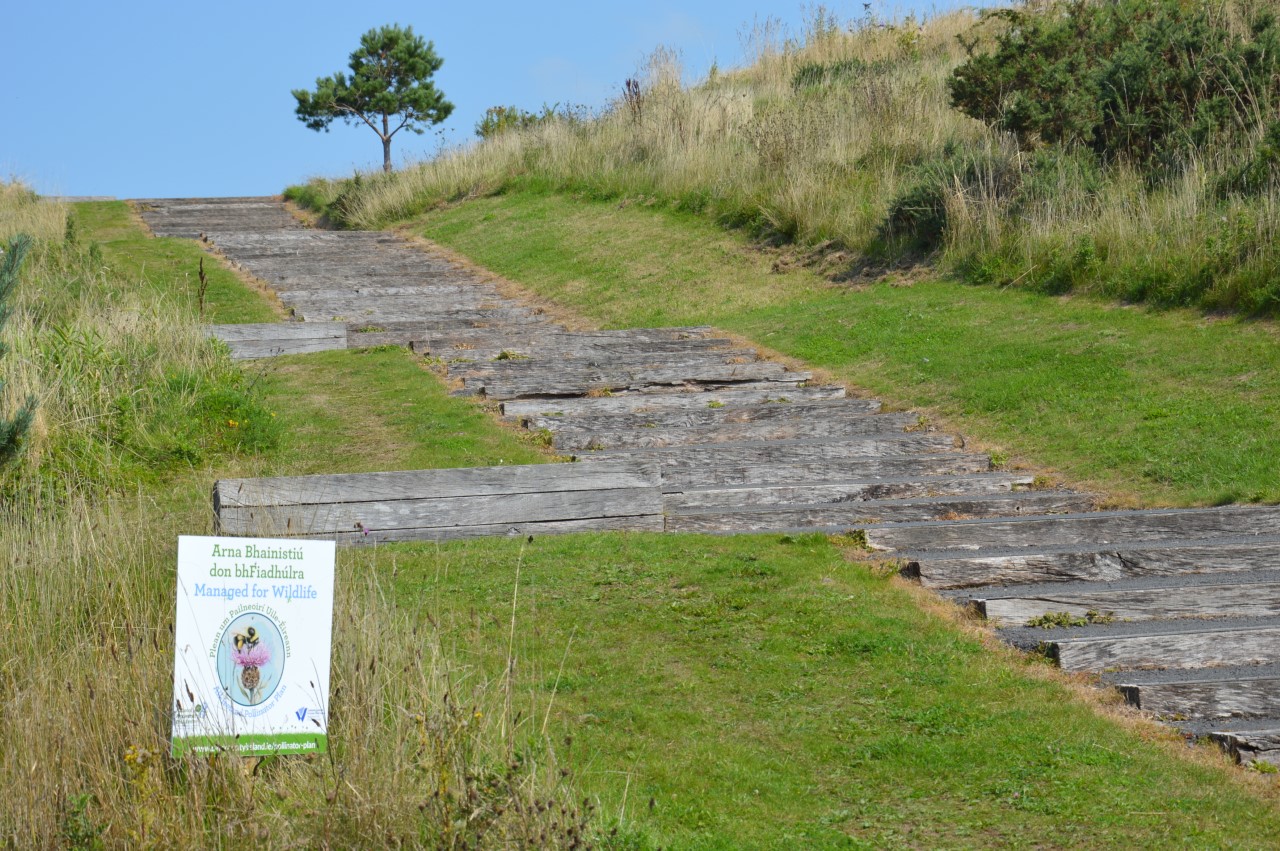 green flag waterford