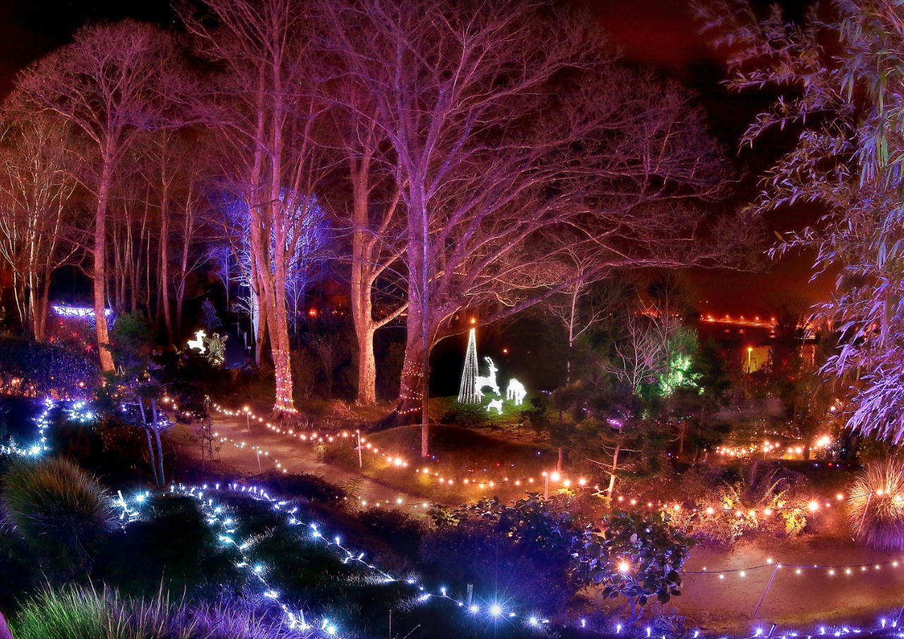 enchanted garden tramore
