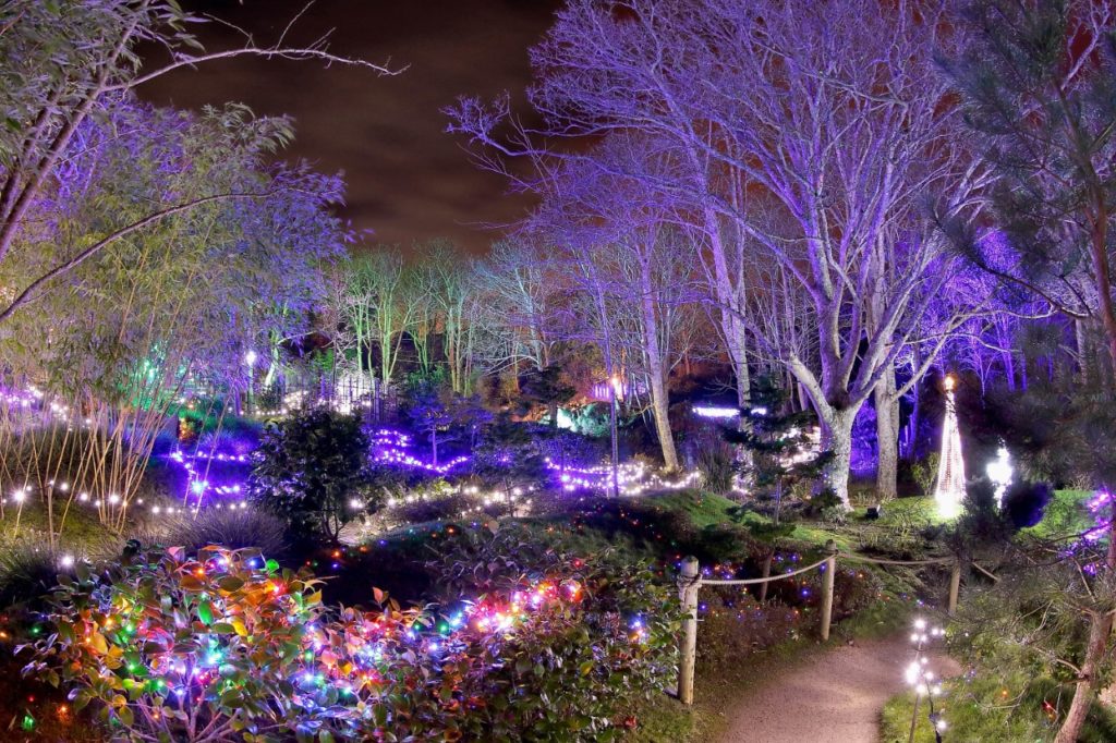enchanted garden tramore