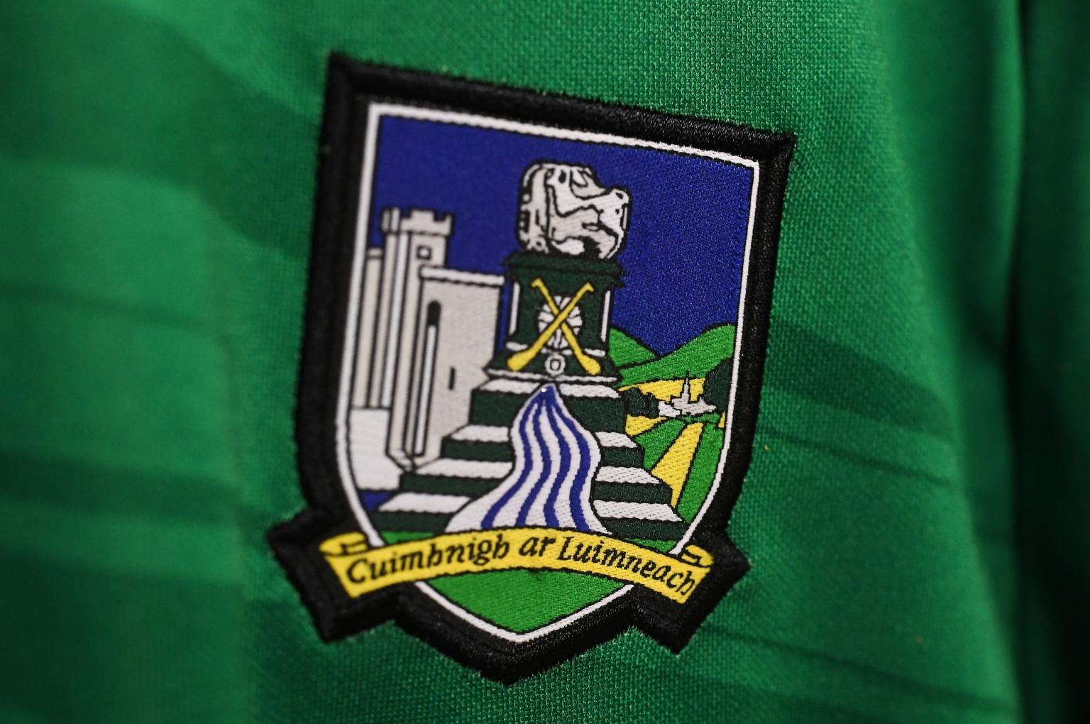 limerick hurler